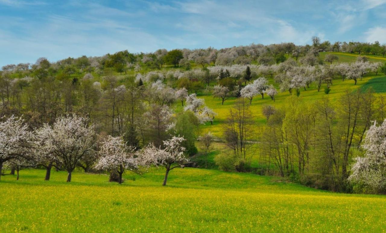 Ferienwohnung Milla Weissach im Tal Dış mekan fotoğraf